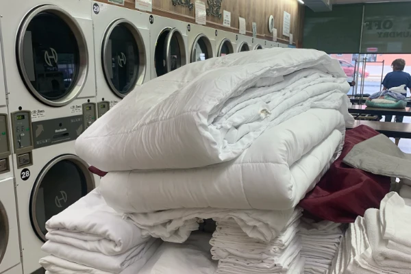 Poly Clean Wash Me's Other Services Poly Clean Wash Me's Other Services